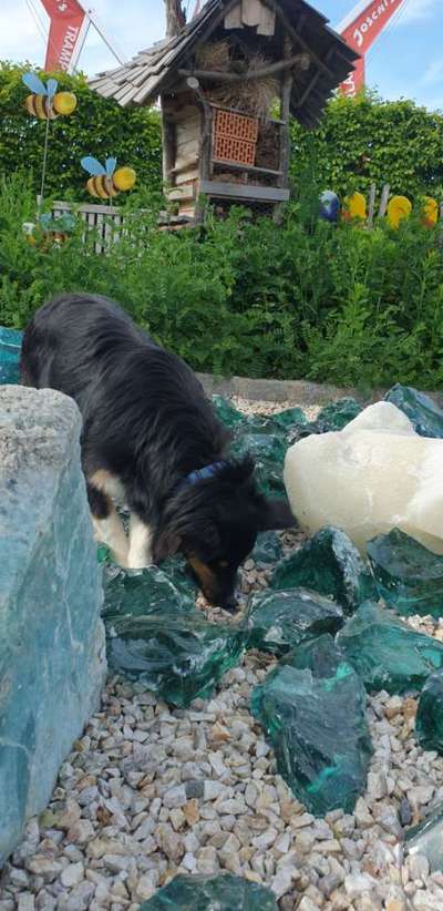 23. Farben / Fotochallenge - Türkis --Beitrag-Bild