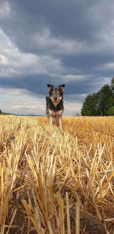 Herbst Bilder-Beitrag-Bild