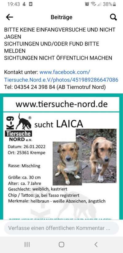Entlaufener Hund suchen, oder nicht?-Beitrag-Bild