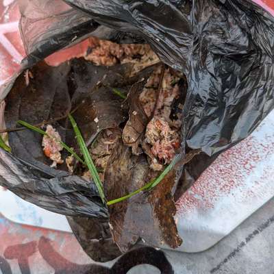 Giftköder-Mögliche Giftköder-Bild