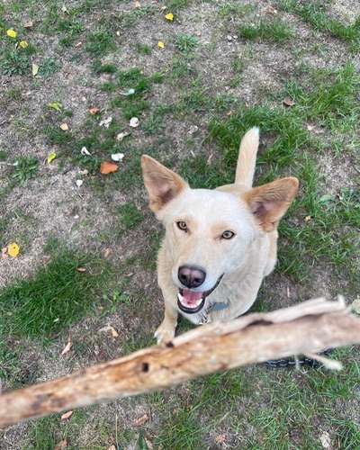 Handyfoto challenge Nr. 13: Waschlappen raus!-Beitrag-Bild