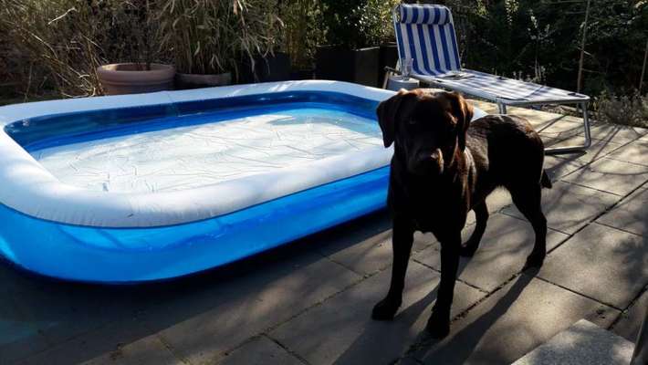 Fotochallenge No. 26                                     Wald und Wiese-Beitrag-Bild