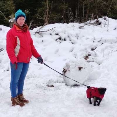 Hundetreffen-Gassi- und Spielrunde-Profilbild