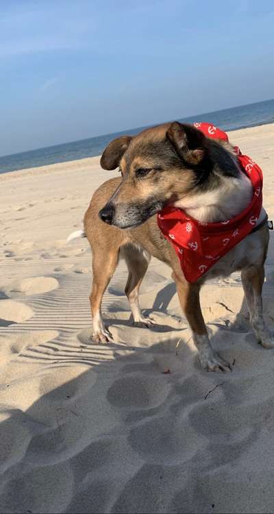 23. Collagen-Challenge: Portraits-Beitrag-Bild