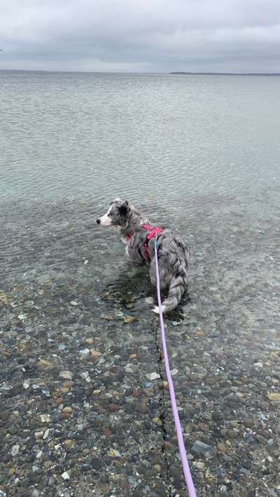 23. Collagen-Challenge: Portraits-Beitrag-Bild