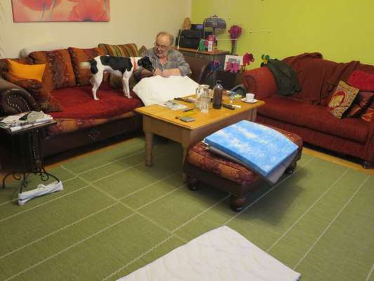 Hundebetten mit Gelschaum aufwerten-Beitrag-Bild