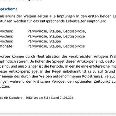Impfung, Auffrischung-Beitrag-Bild