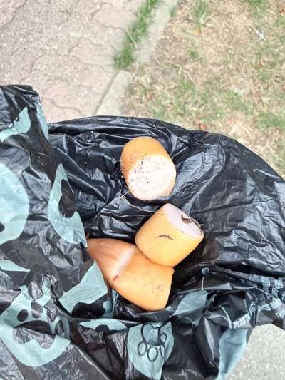 Giftköder-Würstchenstücke-Bild