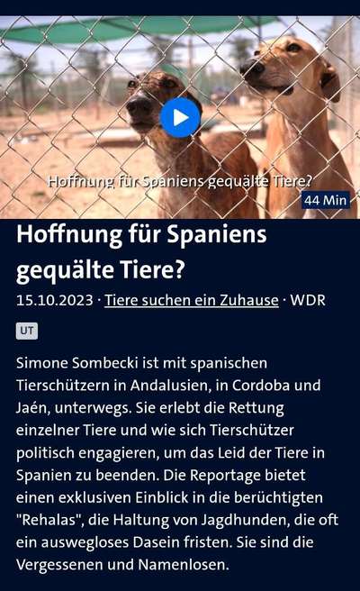 TierschutzhundeStammtisch🐕-Beitrag-Bild