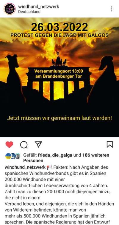 Windhunde - Treffen der besonderen Schönheiten
HERZLICH WILLKOMMEN-Beitrag-Bild