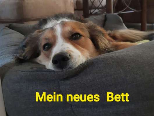 Fotochallenge Nr. 56 - geliebte Senioren-Beitrag-Bild