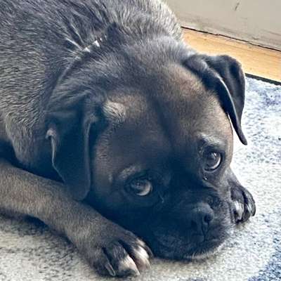 Veronika's Profilbild