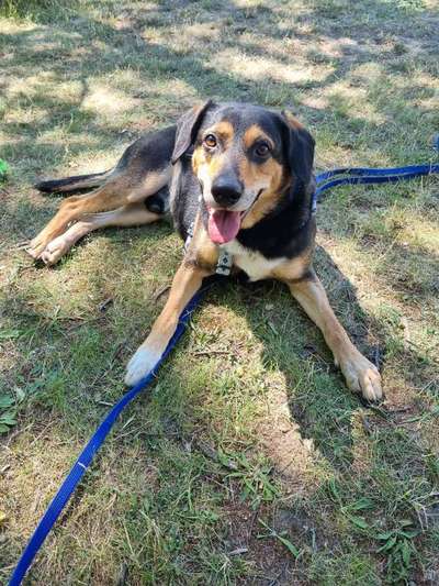 Theos Fotochallange Nummer 4-Beitrag-Bild