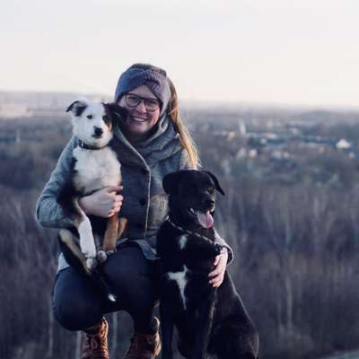 Hundetreffen-Agility Basisübungen/ Beschäftigung
