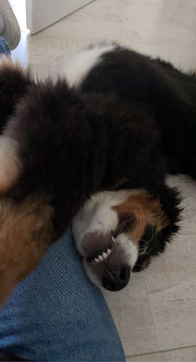 Un...scharf Bilder-Beitrag-Bild