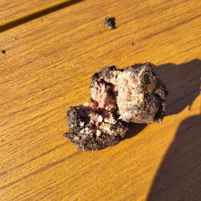 Giftköder-Evtl. Giftköder-Bild