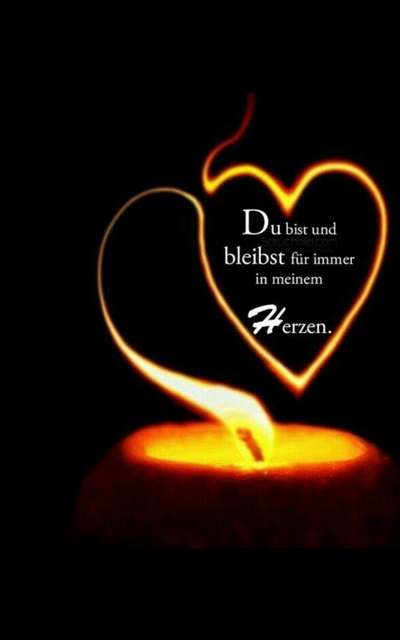 Unsere Fellnasen im Regenbogenland-Beitrag-Bild