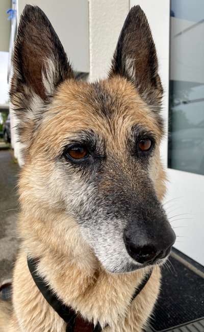 Fotochallange Nr. 57     PORTRÄT.   Beendet!!!!!!!!-Beitrag-Bild