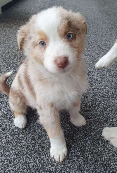 Erstes Bild-Beitrag-Bild