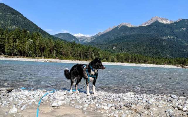 Dogorama Foto Challenge - Wanderziel-Beitrag-Bild