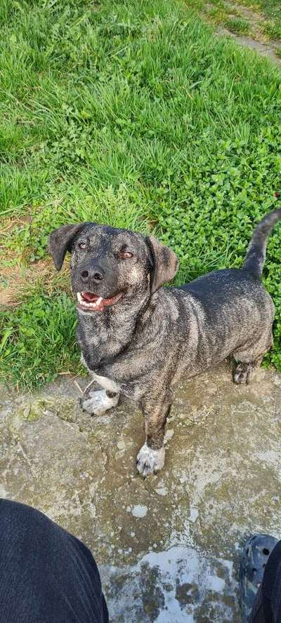 147. Foto Challenge: Bettelblick-Beitrag-Bild