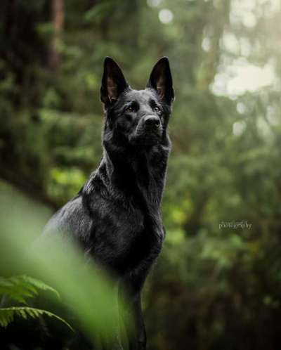 Austausch zur Fotografie-Beitrag-Bild