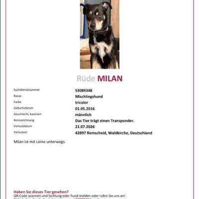 Entlaufene, Gefundene und Vermisste Hunde-Beitrag-Bild
