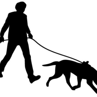 Hundetreffen-Mantrailing im Rhein-Main-Gebiet-Bild