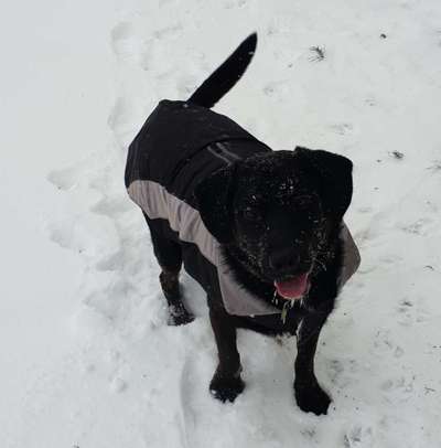 Fotochallenge 61 ~ Schnee-Beitrag-Bild