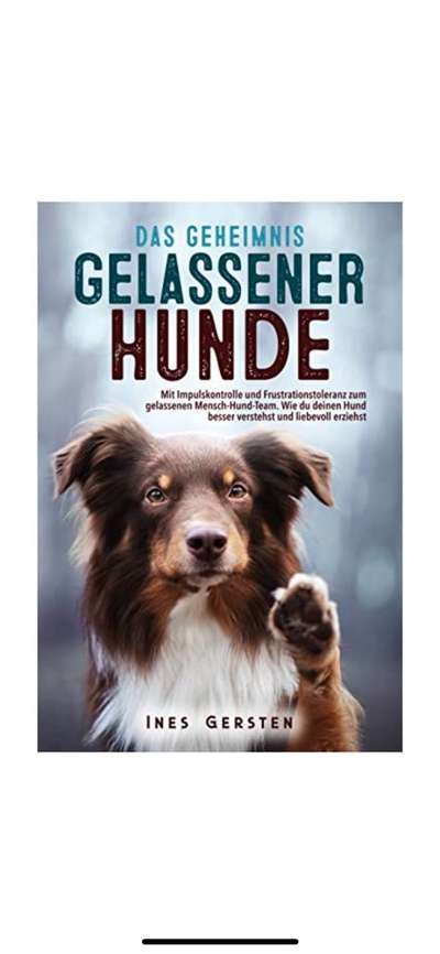 Hundeschule-Beitrag-Bild