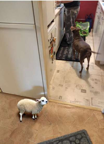 Freundschaftsanfragen-Beitrag-Bild