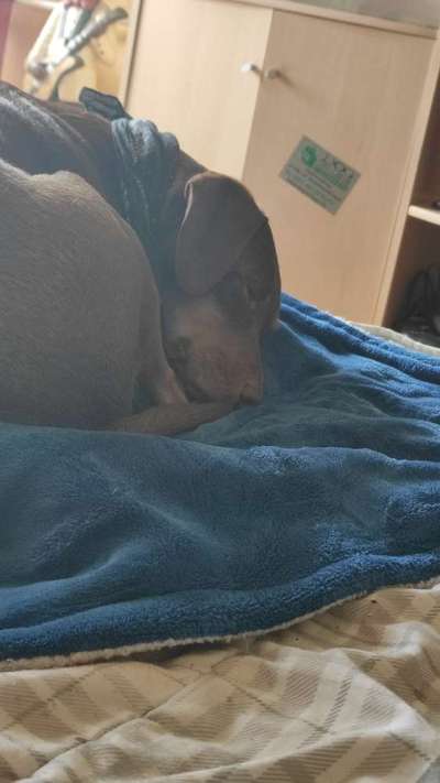 Freundschaftsanfragen-Beitrag-Bild