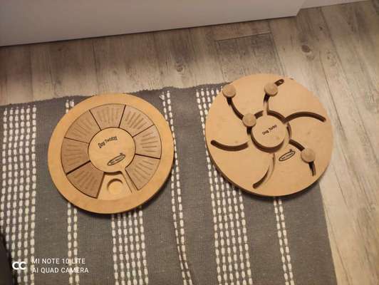 Indoor Beschäftigung-Beitrag-Bild