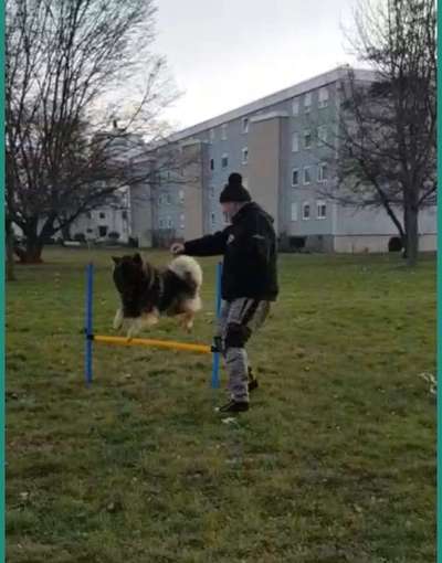 41. Handy Fotochallenge - Euer gemeinsames Hobby-Beitrag-Bild