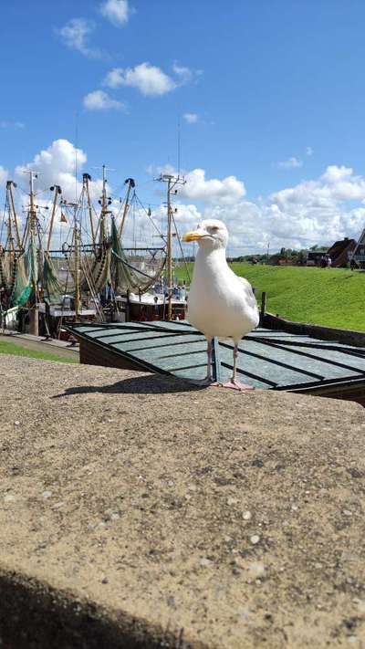 Freundschaftsanfragen-Beitrag-Bild