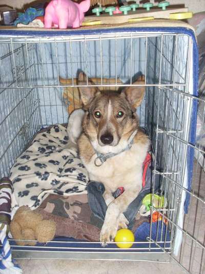 Allein zu Hause-Beitrag-Bild