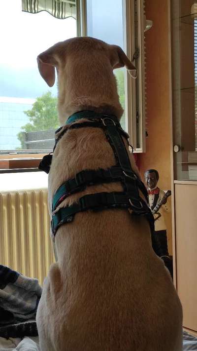 Freundschaftsanfragen-Beitrag-Bild