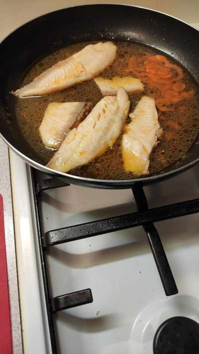 TierschutzhundeStammtisch🐕-Beitrag-Bild