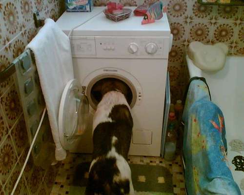 Hier ist der Spaßthread. Zum Schmunzeln und Kaputtlachen-Beitrag-Bild