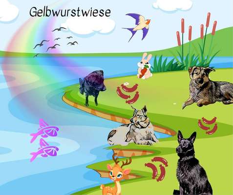 Unsere Fellnasen im Regenbogenland-Beitrag-Bild