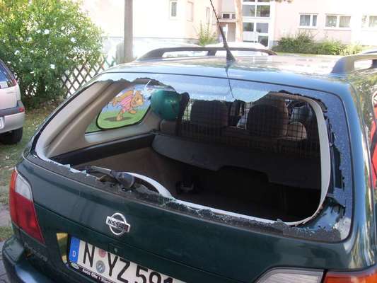 TierschutzhundeStammtisch🐕-Beitrag-Bild