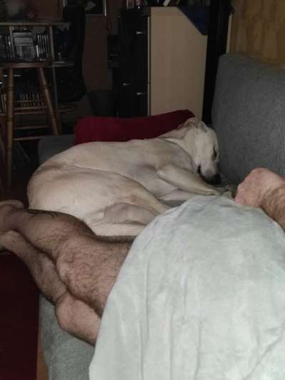 Freundschaftsanfragen-Beitrag-Bild