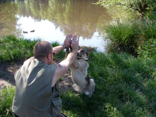 Dogorama Blog Challenge: Hundetricks-Beitrag-Bild