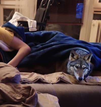 Freundschaftsanfragen-Beitrag-Bild