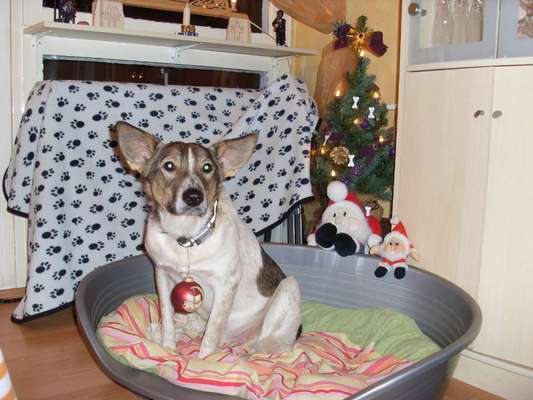 Pullis, Jacken, Hütte und alles sonstiges-Beitrag-Bild