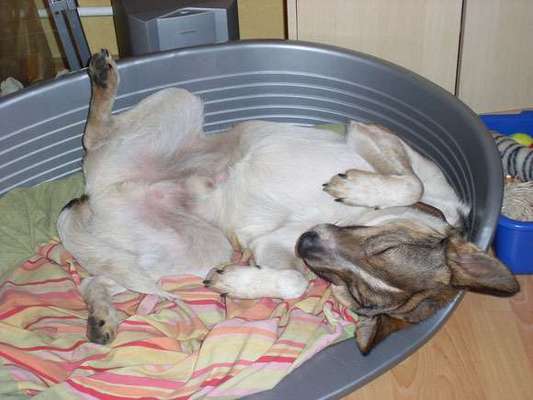 Die unbequemsten und lustigsten Schlafpositionen-Beitrag-Bild