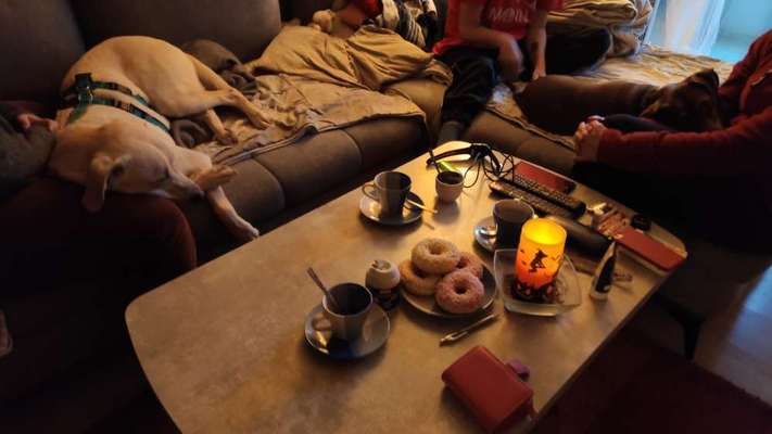 TierschutzhundeStammtisch🐕-Beitrag-Bild