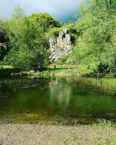 Hundeauslaufgebiet-Altstadt Park-Bild