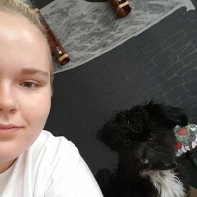 Hundetreffen-Havanesen  treffen-Profilbild