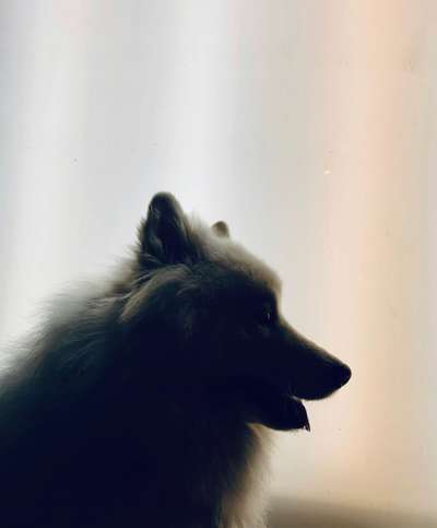 Fotochallange Nr. 46

Schattenspiele BEENDET!!!!!-Beitrag-Bild